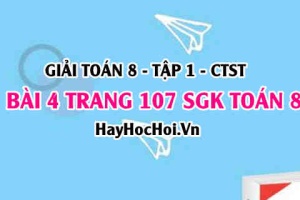 Giải bài 4 trang 107 Toán 8 Tập 1 SGK Chân trời sáng tạo